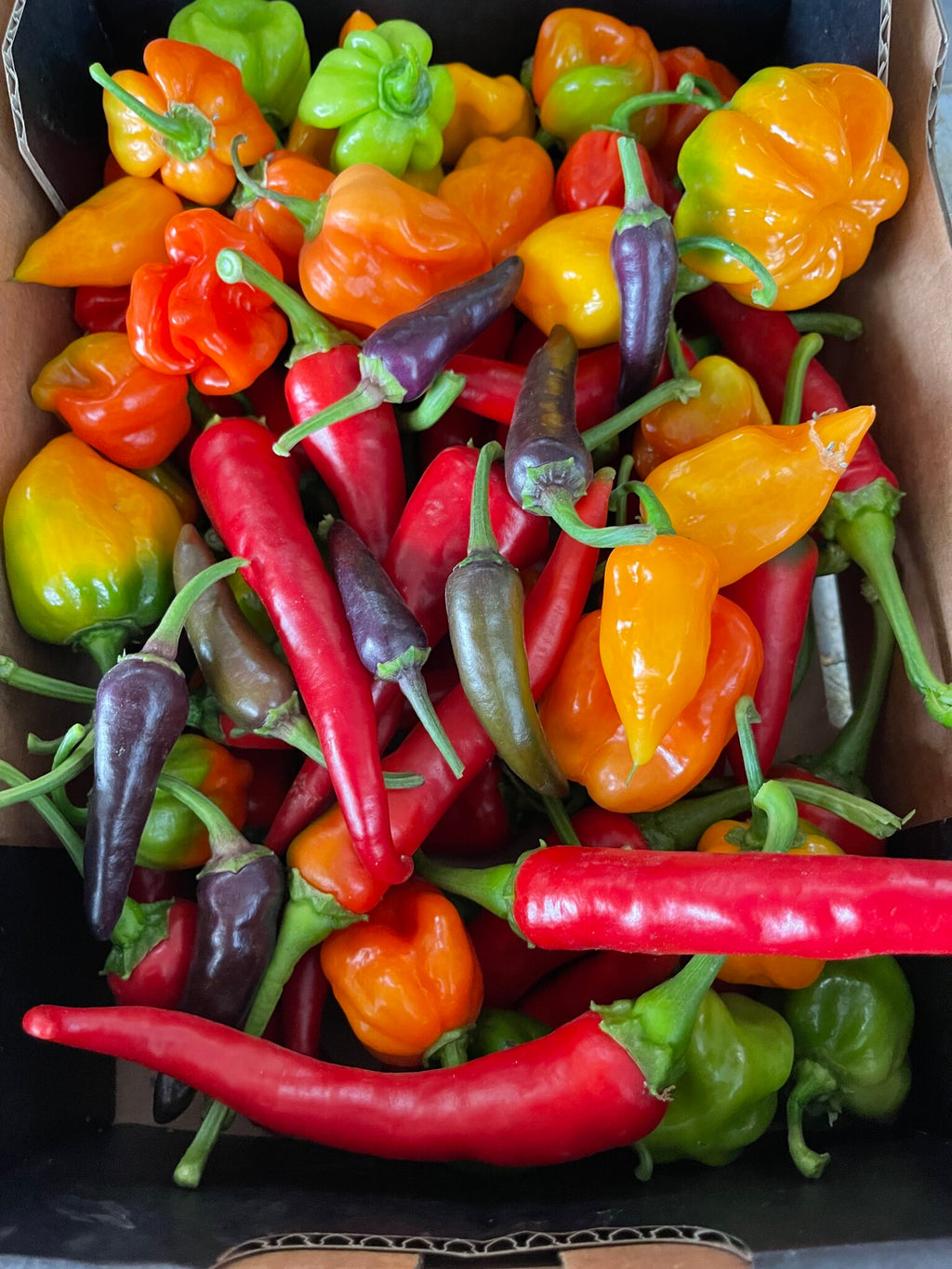Blandet Chili