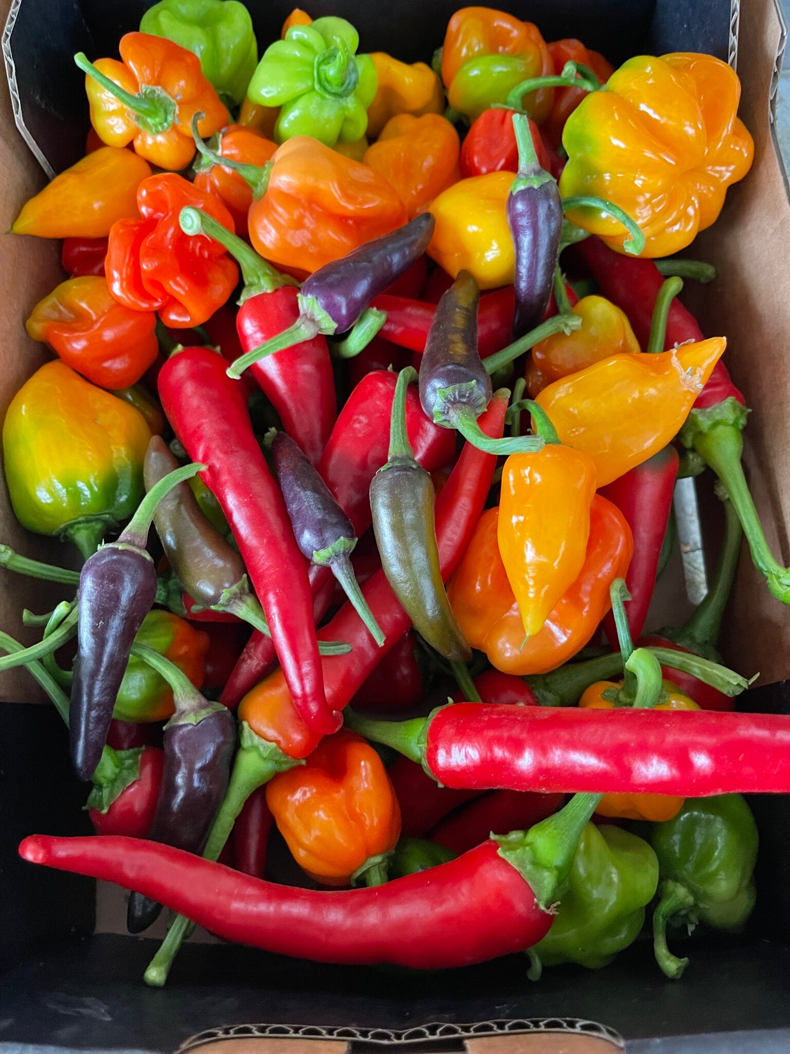 Blandet Chili