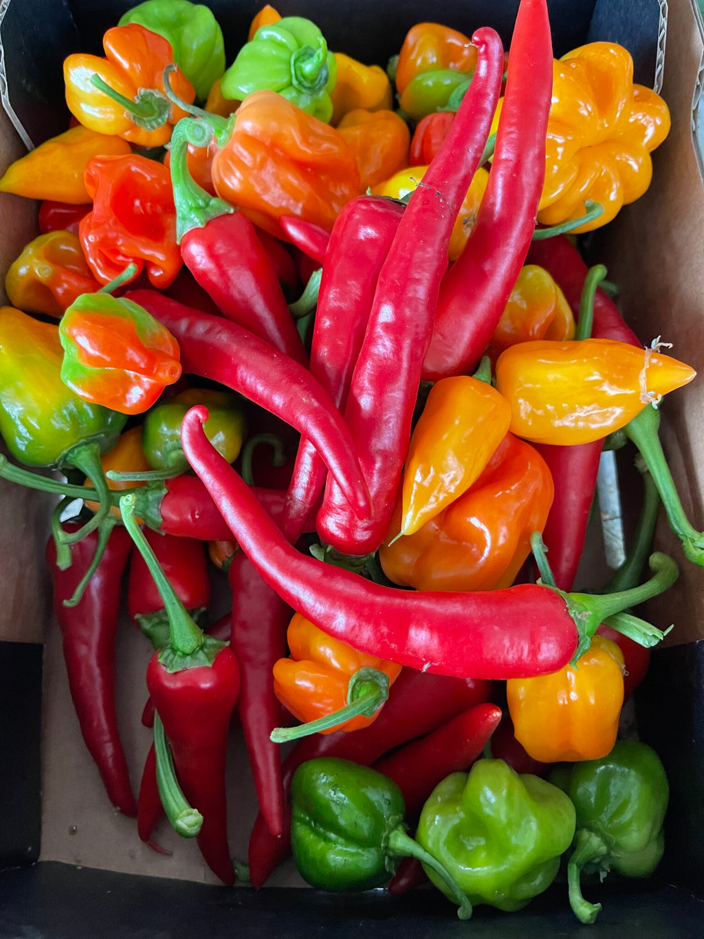 Blandet Chili