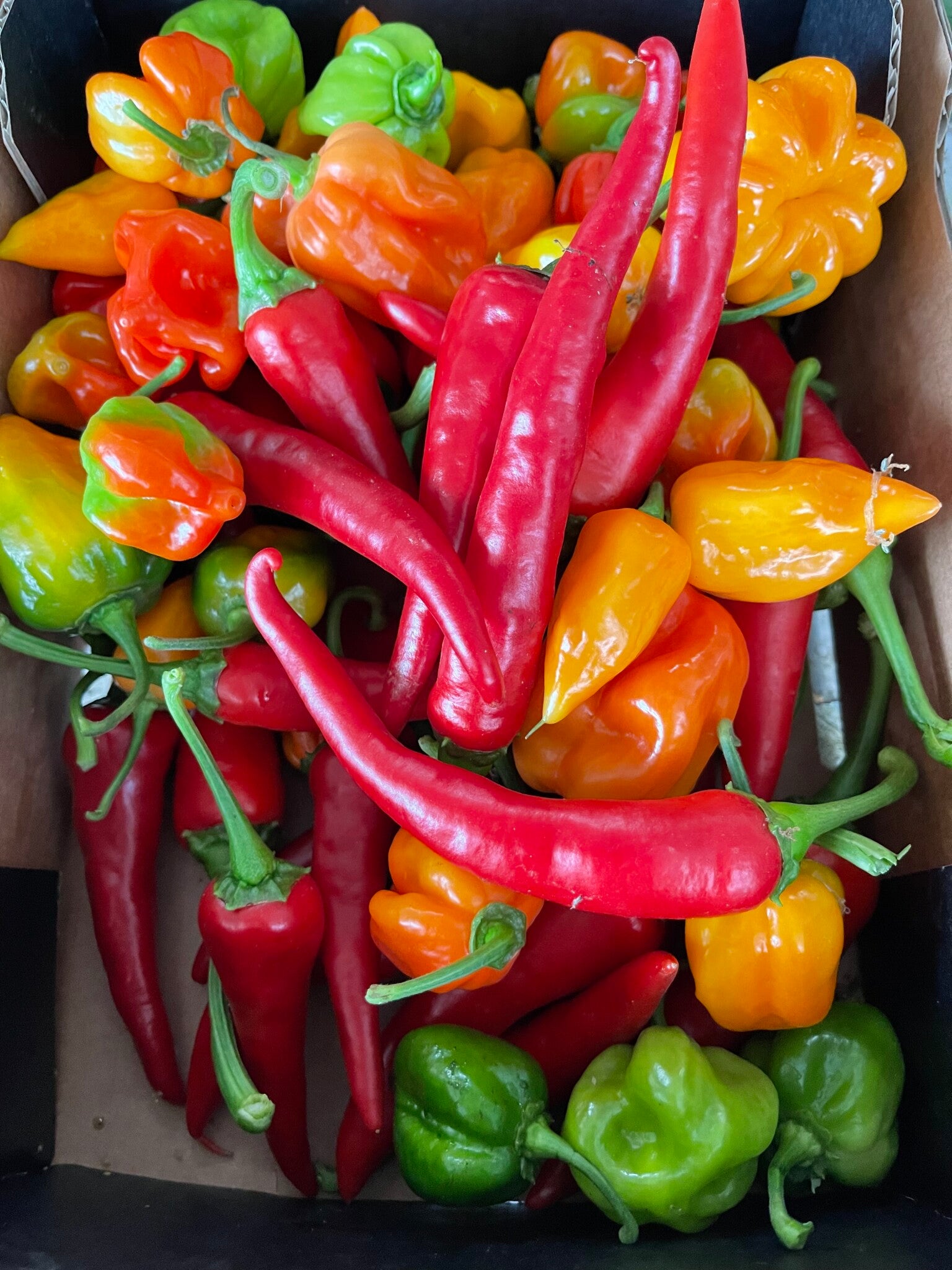 Blandet Chili