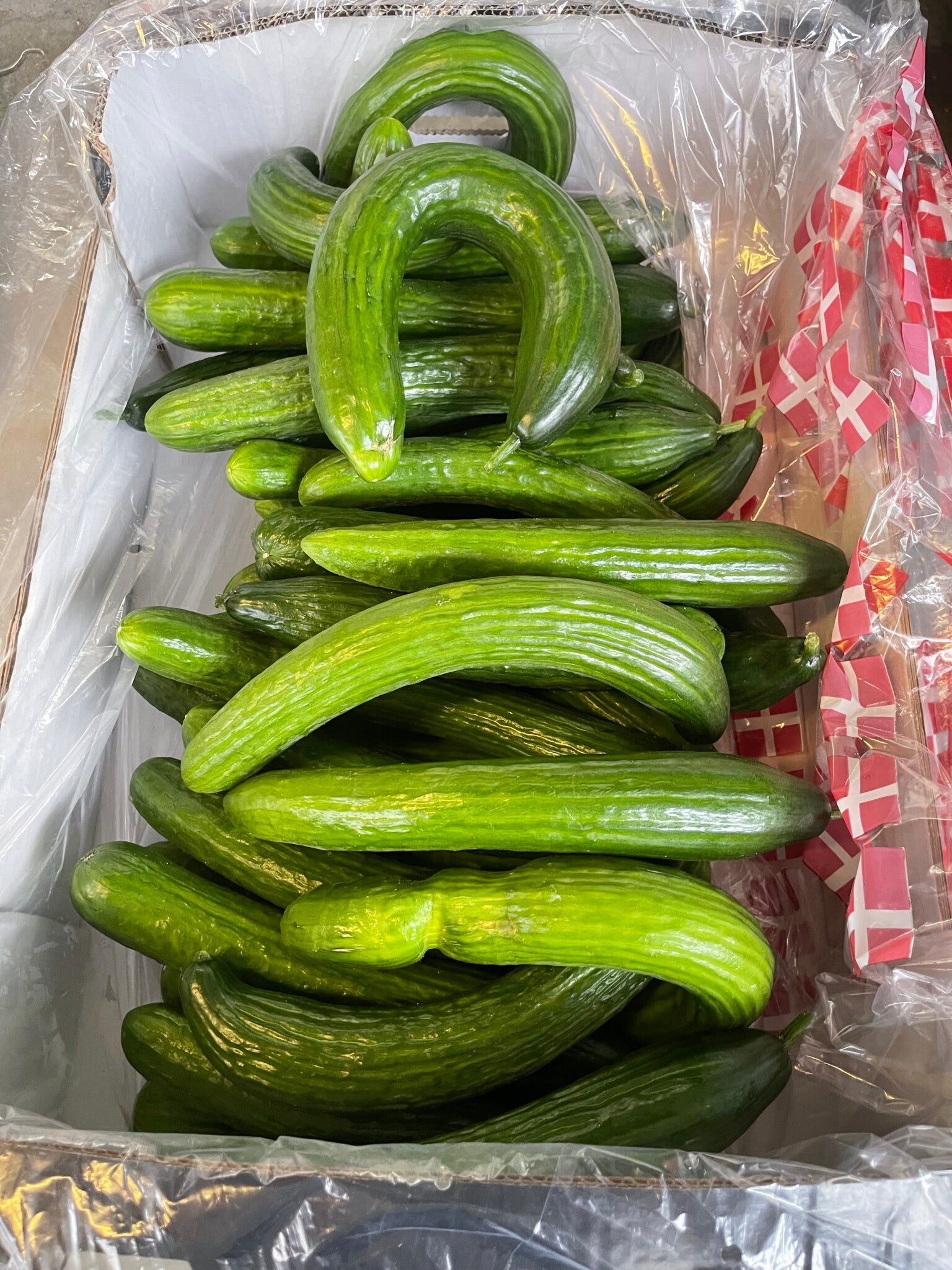 Stor kasse med store krumme agurker