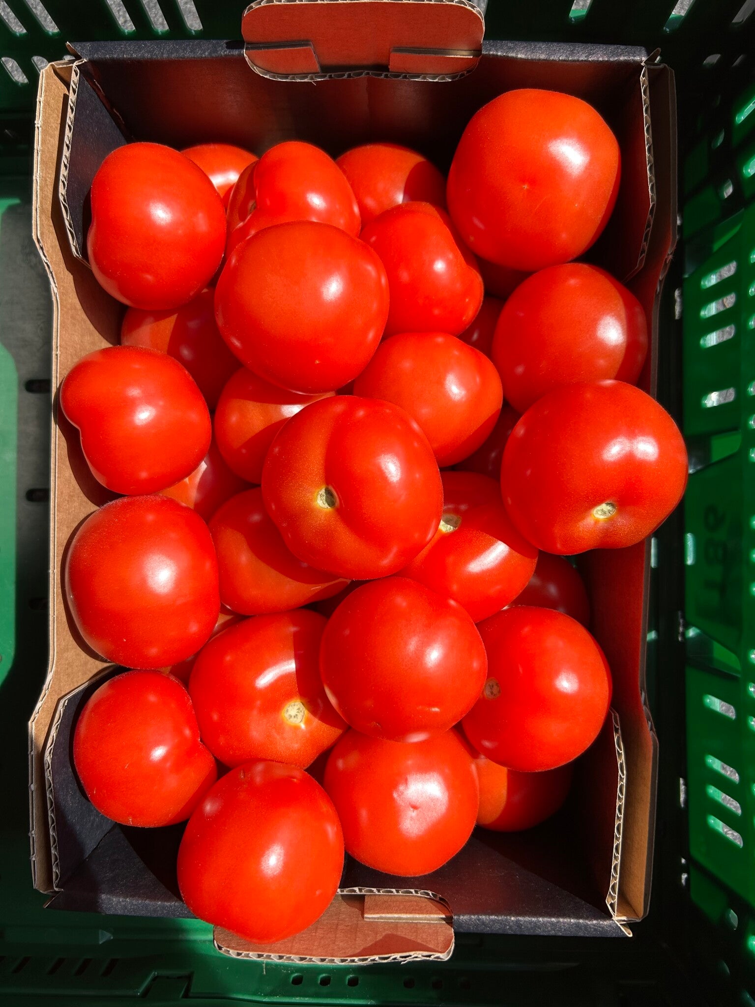 Tomat 3kg