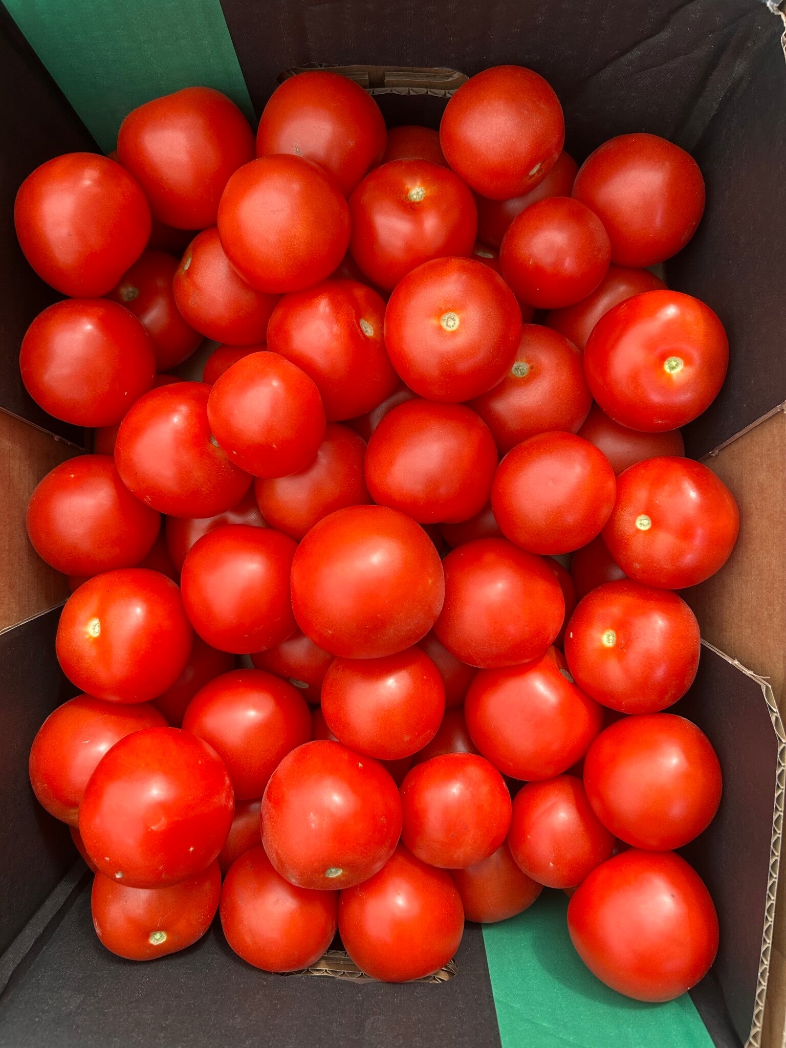 Tomat 6kg