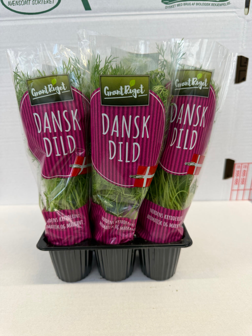 Dild