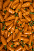 Mini Snack Peber