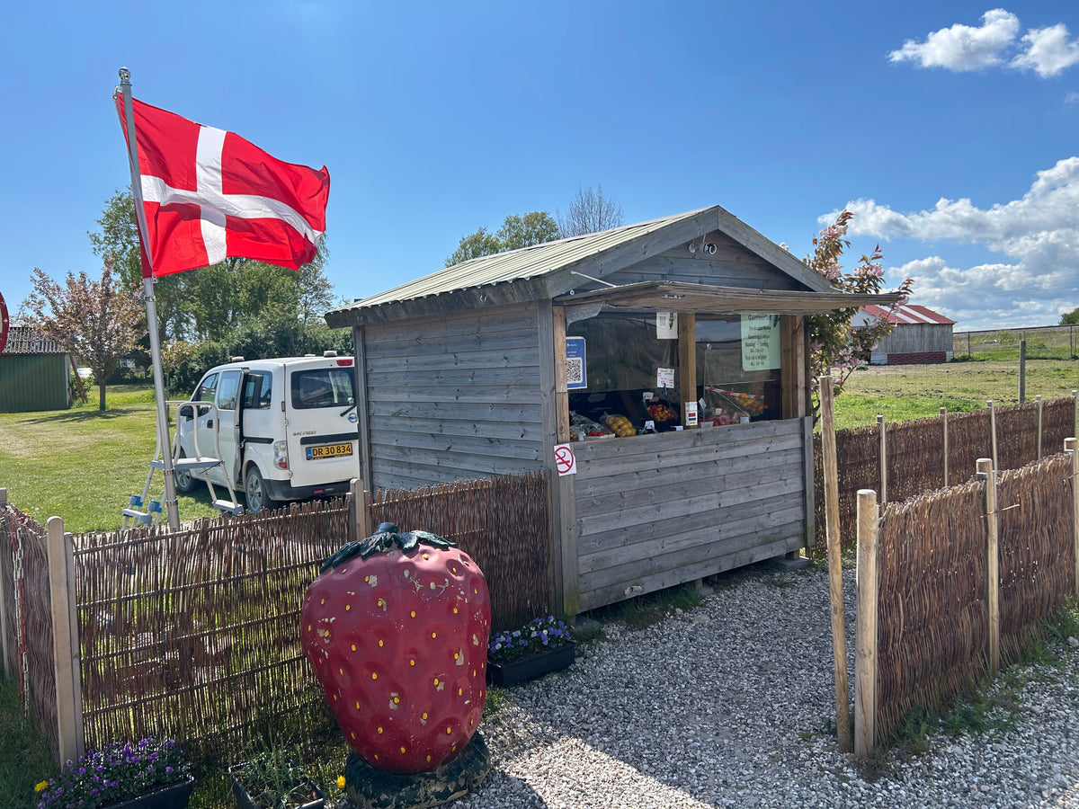 Billede fra Agurkekongen v/ Gartneriet Hedegården. Foto: Agurkekongen